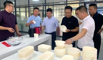 积极探索新的环保新材料